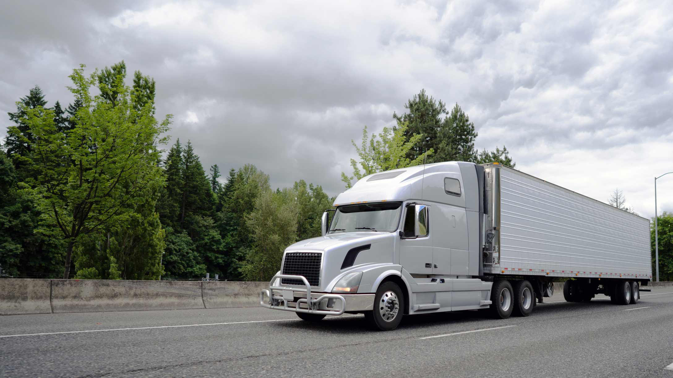 White truck driving by a forest