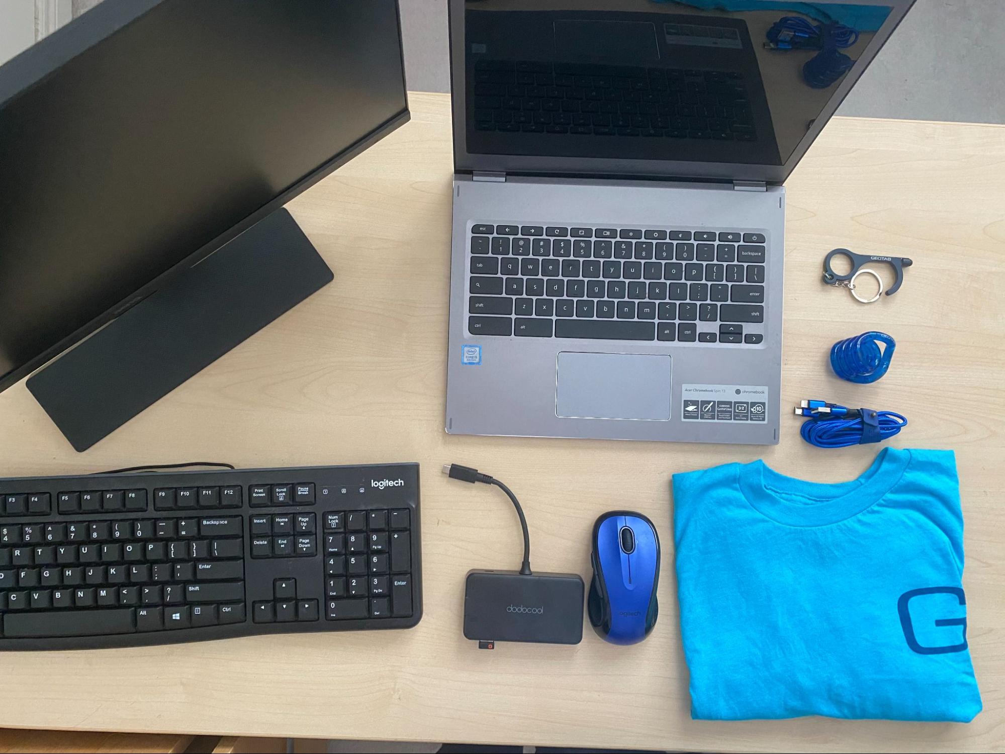 Geotab intern