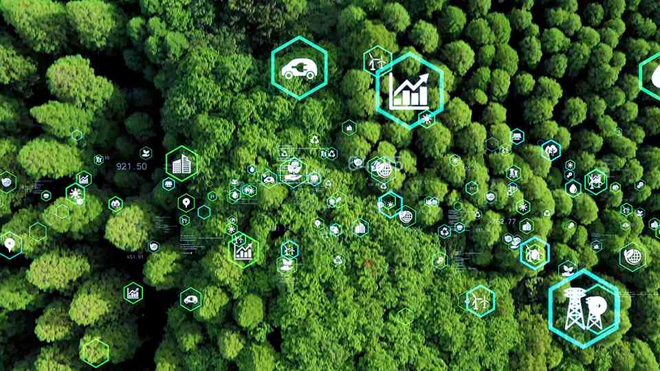 Imagen aérea de pinos verdes, con íconos de telemetría