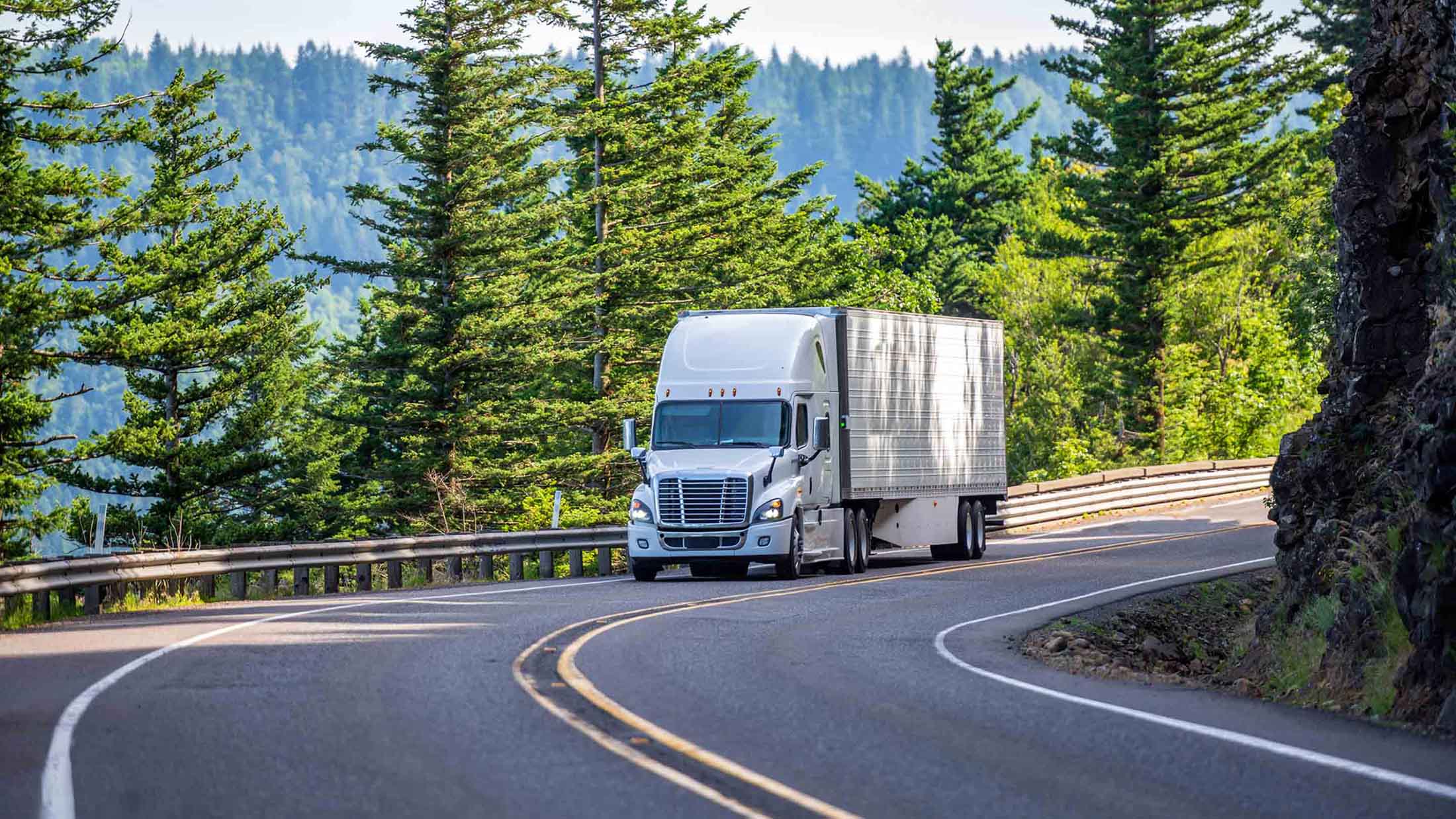 White truck driving on road with forest in the background