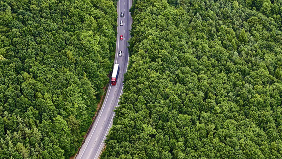 imagen de un camión en una carretera con bosque a su alrededor