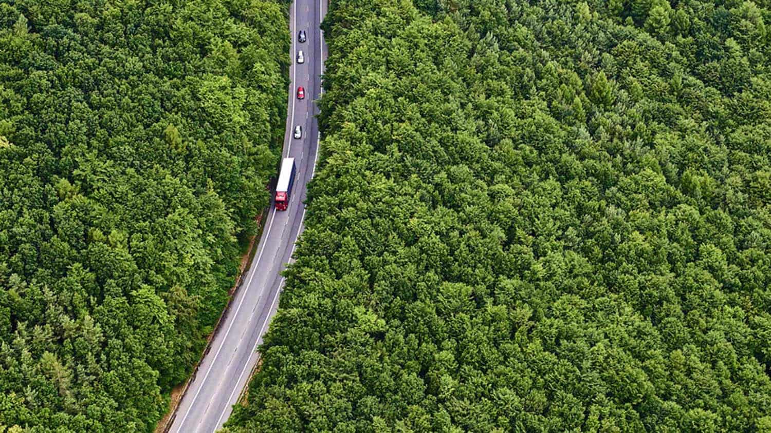 imagen de un camión en una carretera con bosque a su alrededor