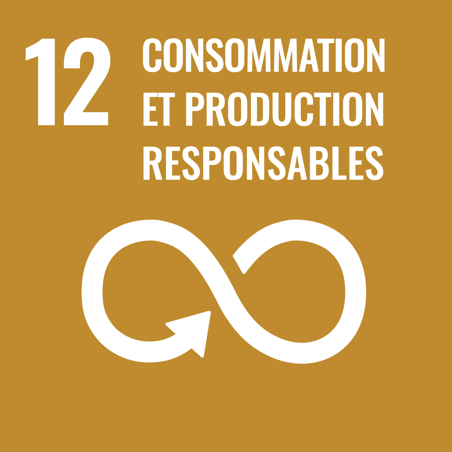 responsible consumption icon