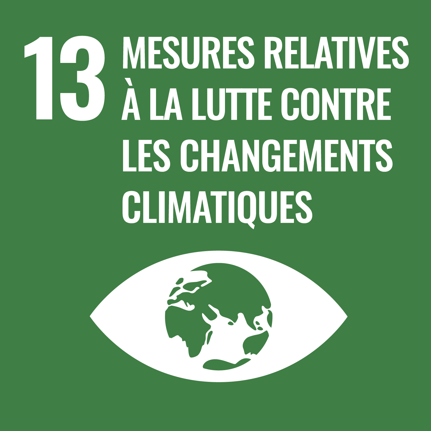 climate action icon