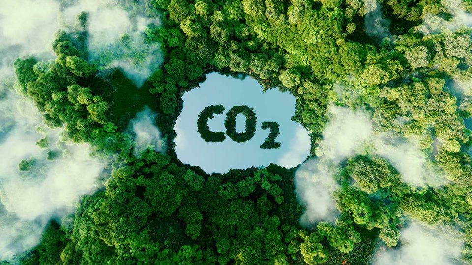 nuage de CO2 devant une forêt