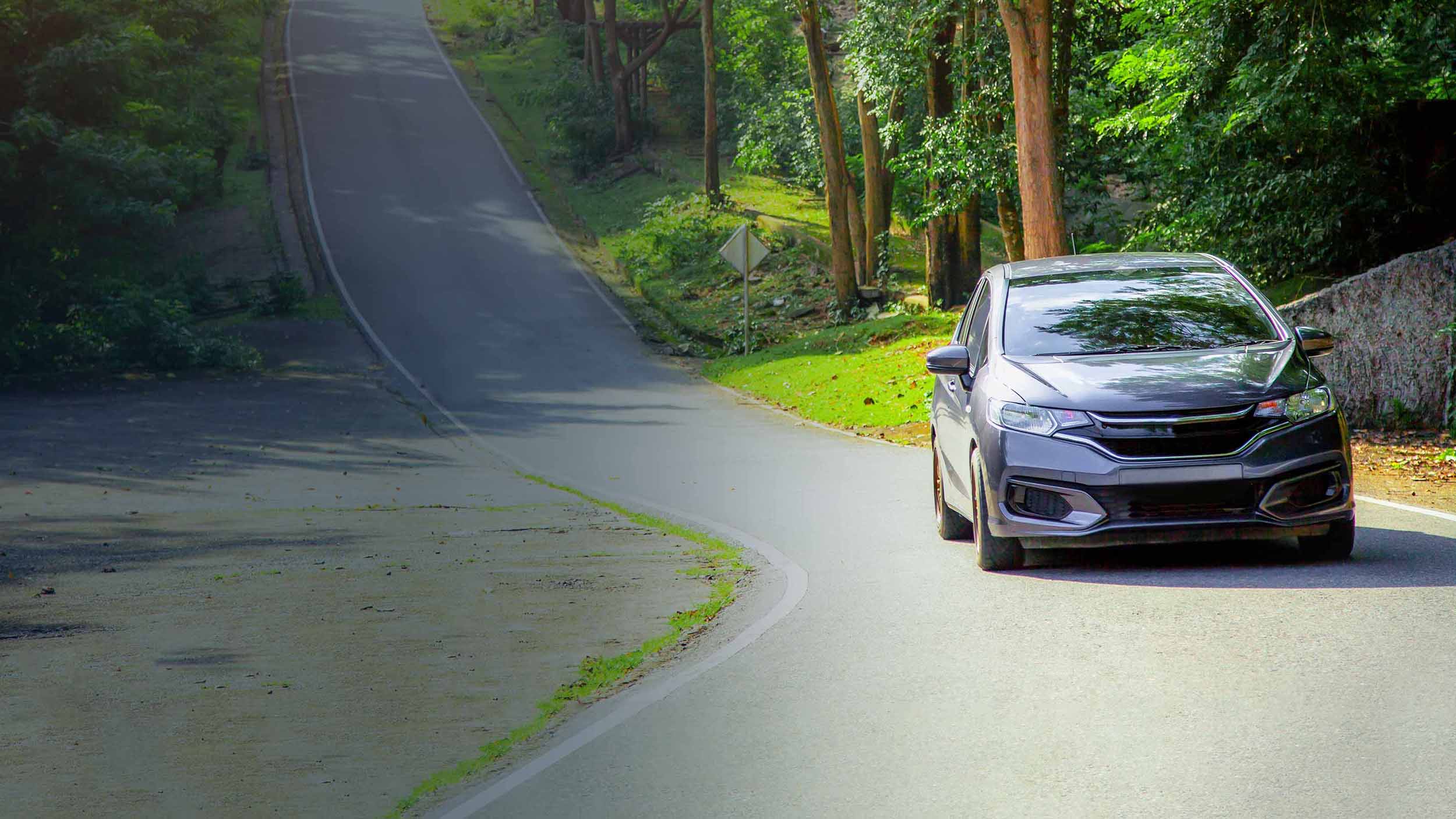 A car driving on a road surrounded by trees