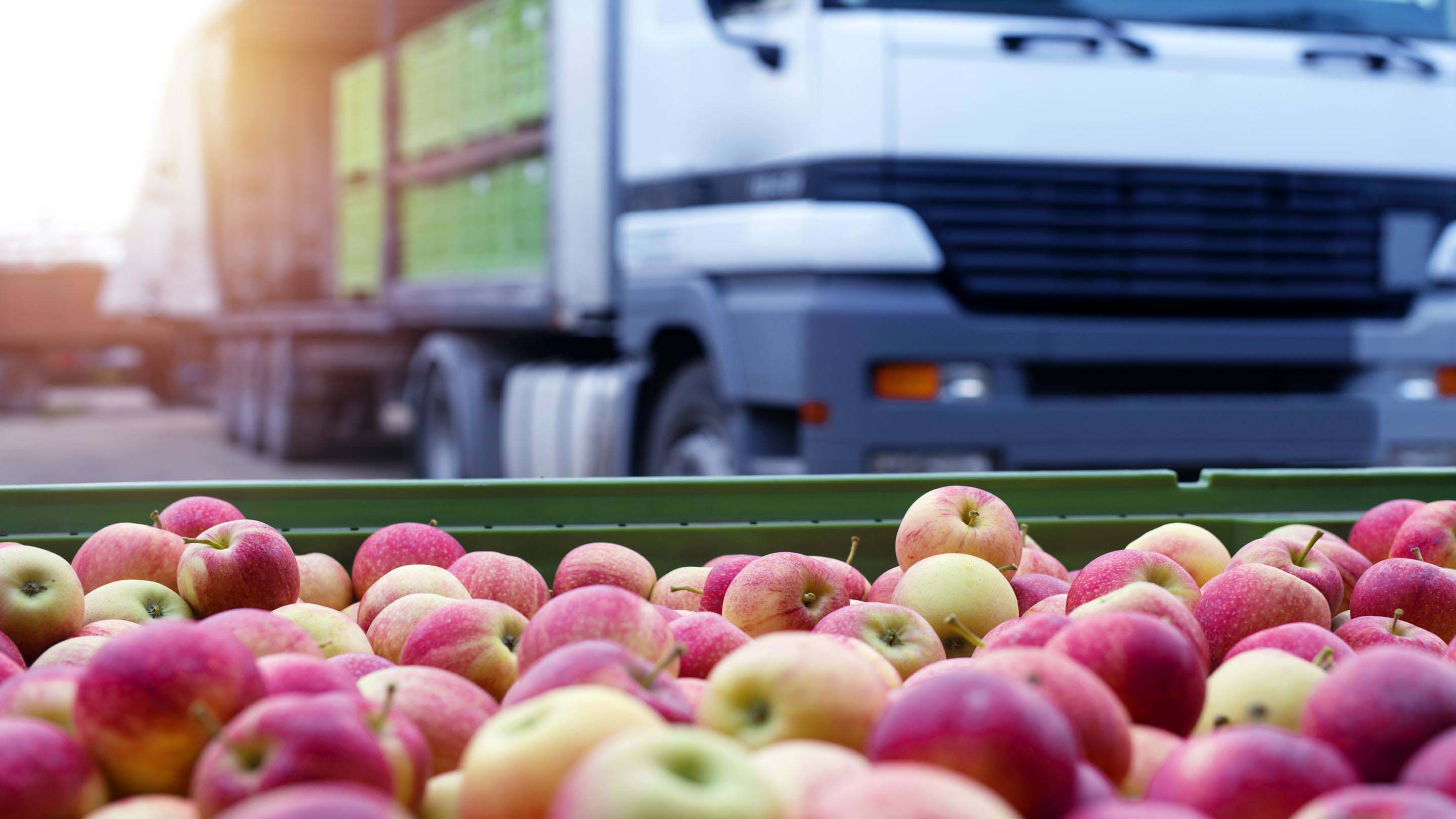 Una bandeja de manzanas en primer plano con un camión de reparto de comida blanca en el fondo