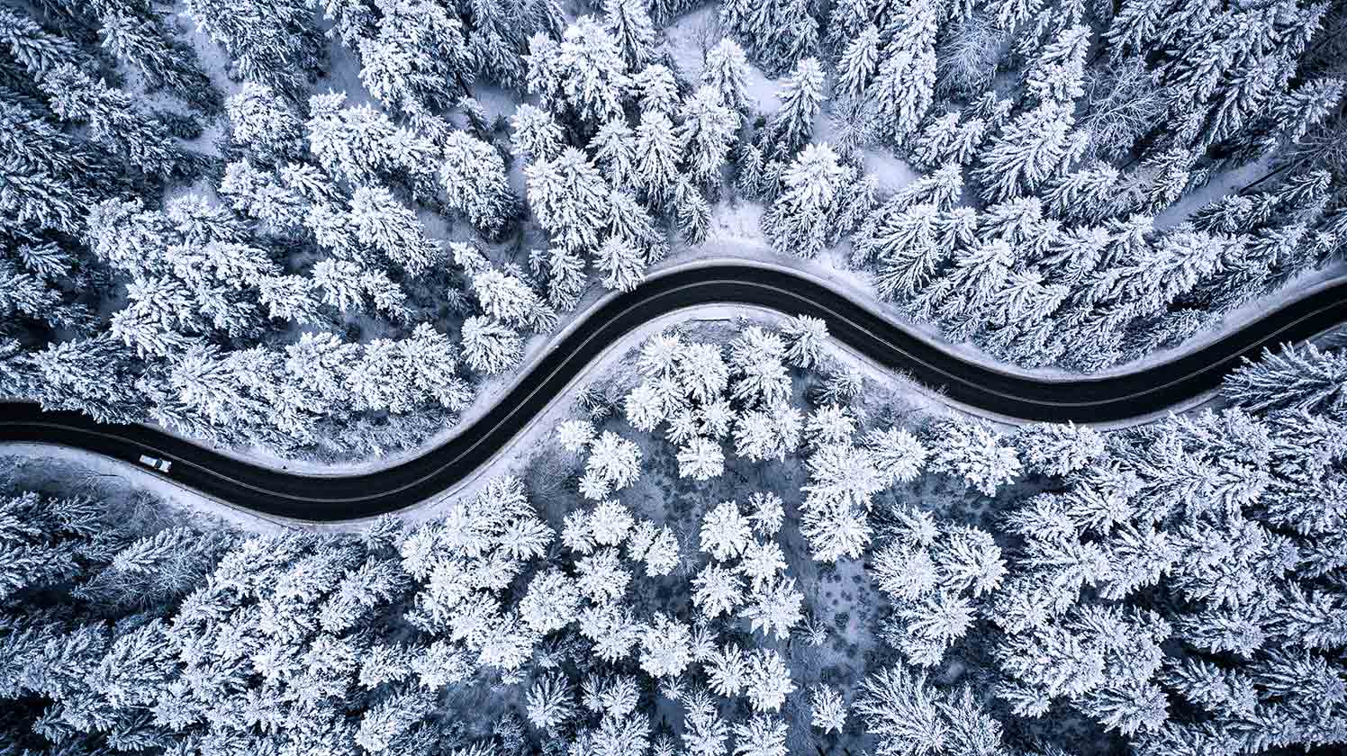 A car driving on a road surrounded by trees