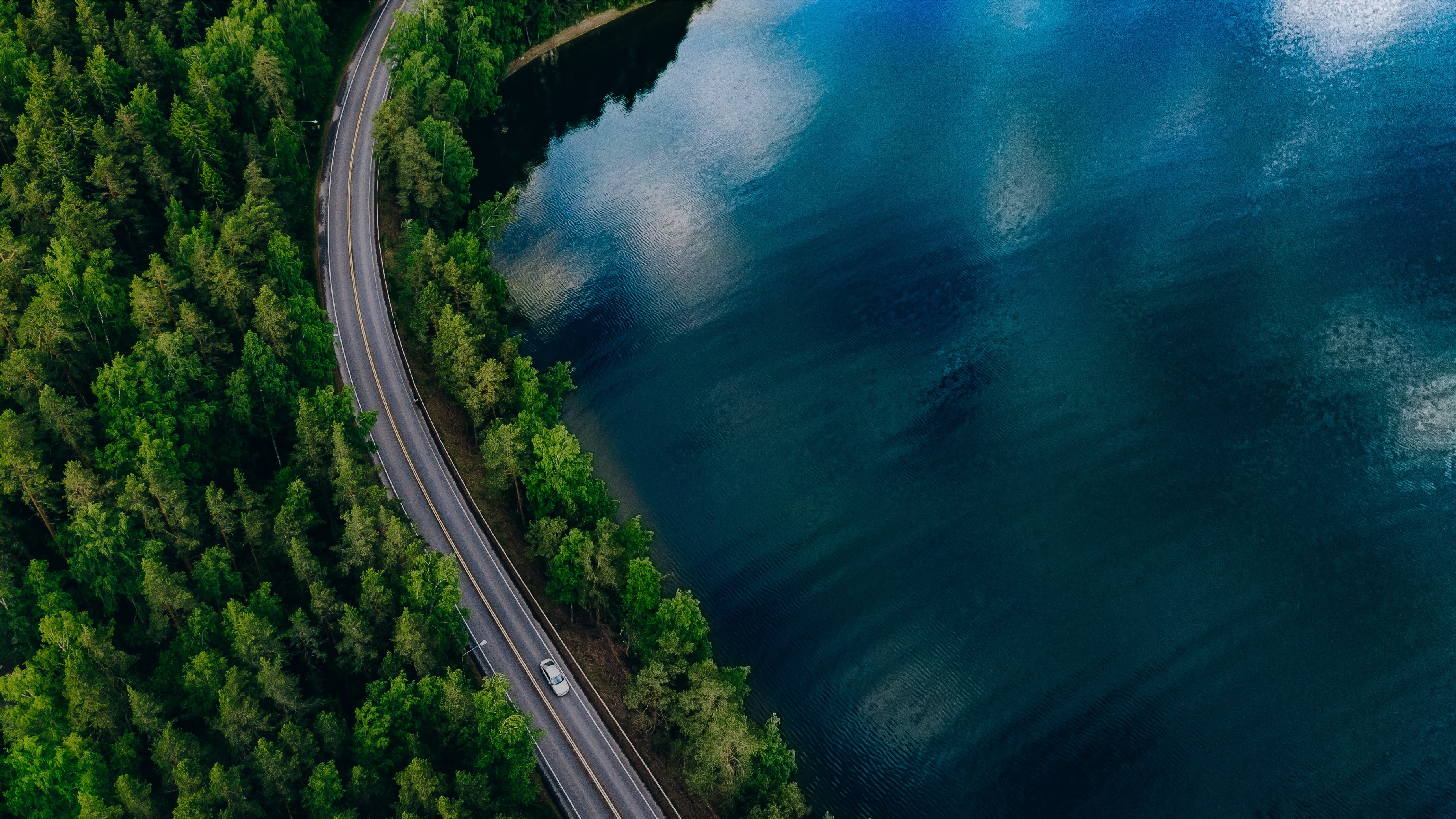 Road in between ever-green tree forest and lake