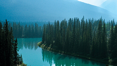 Natural Resources Canada national park forest