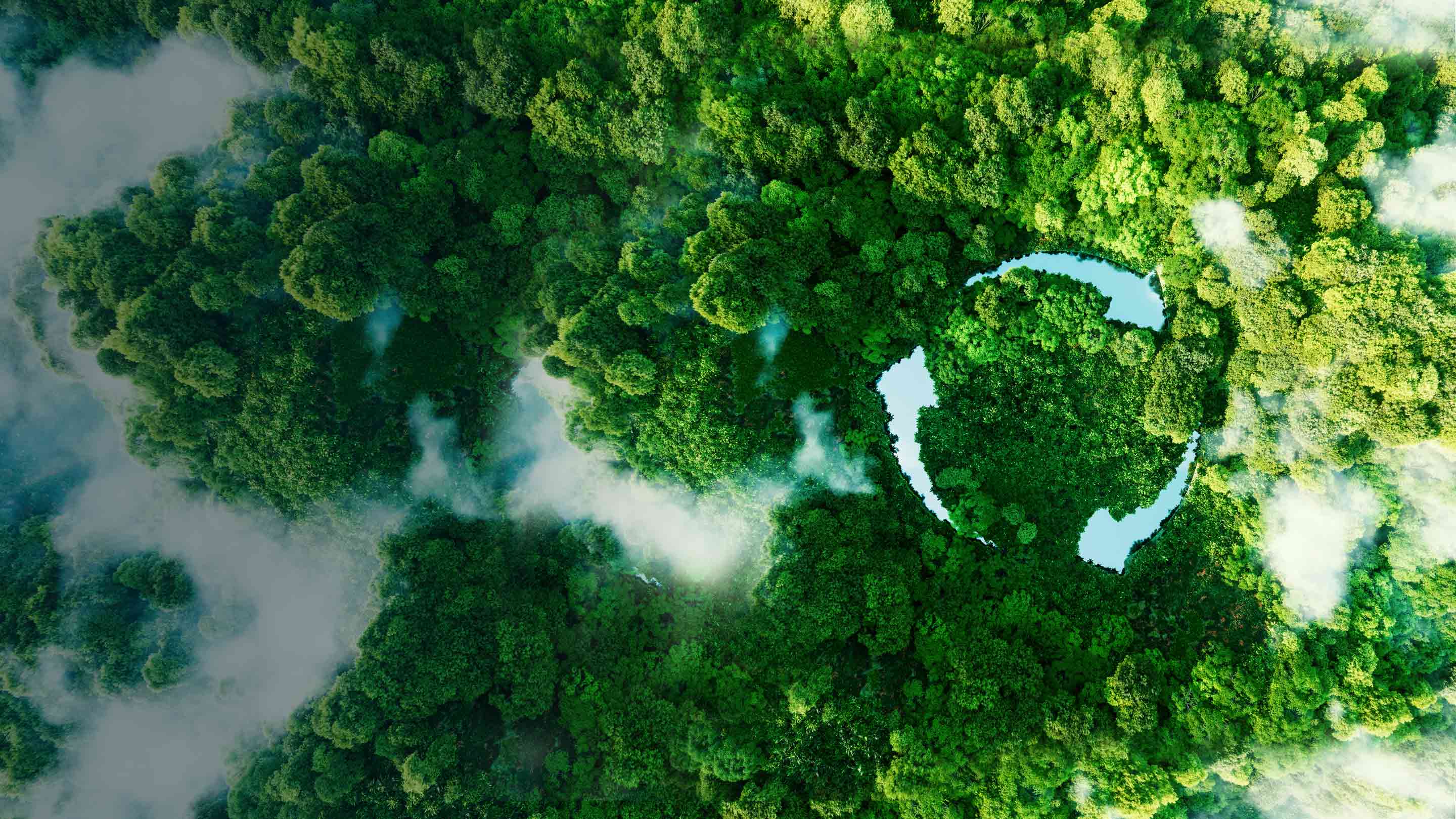 Ariel view of trees with recycling logo carved in