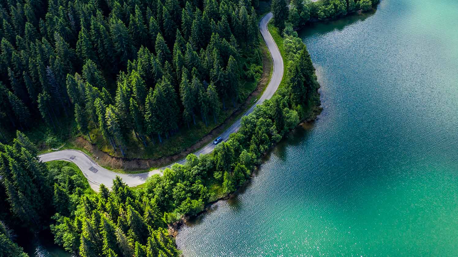 top down image of a road