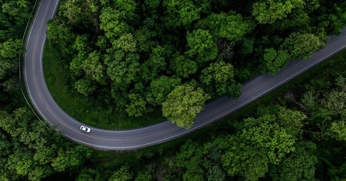Vue aérienne d'une route sinueuse traversant une forêt dense.