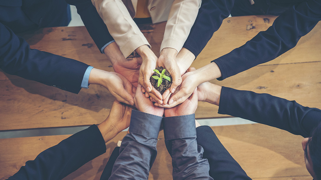 Multiple people holding a plant together