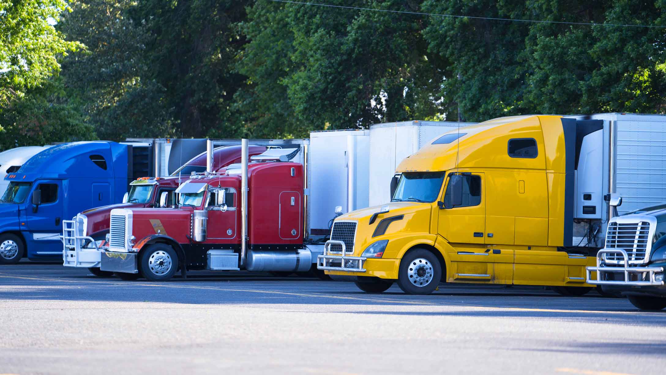 Multiple colored trucks parked beside each other