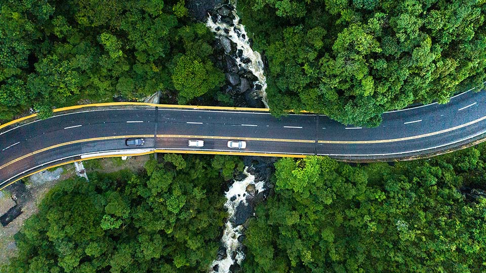 Road by a lake and forest