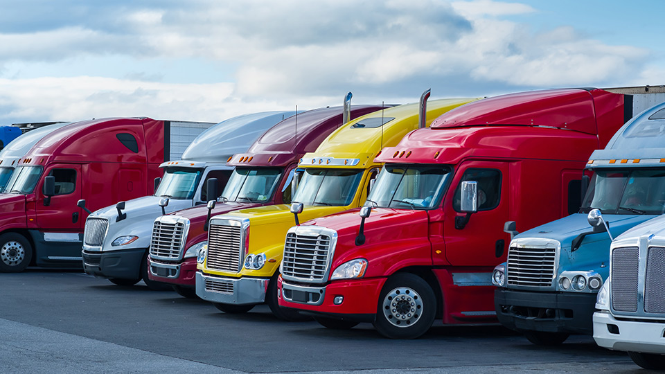 Colourful trucks standing together