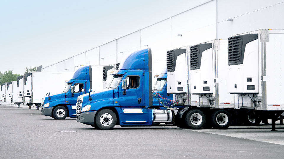 Multiple hgv trucks parked in a row at the back of a warehouse