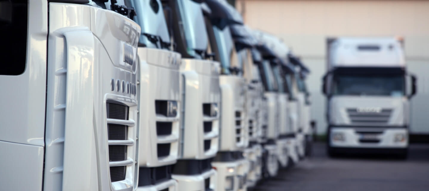 white trucks in a row