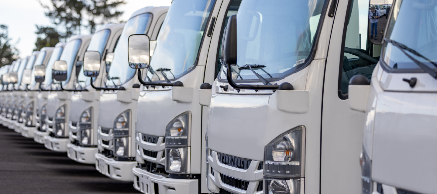 white trucks in a row