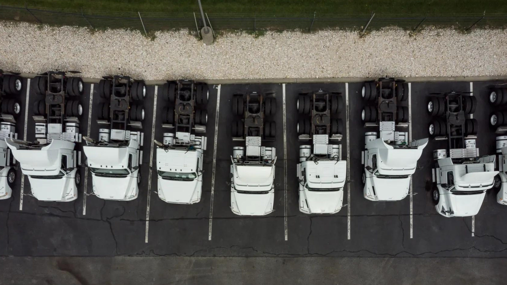 Aerial view of eight white vehicles parked in a row in marked parking spaces along a dark asphalt lot with gravel border