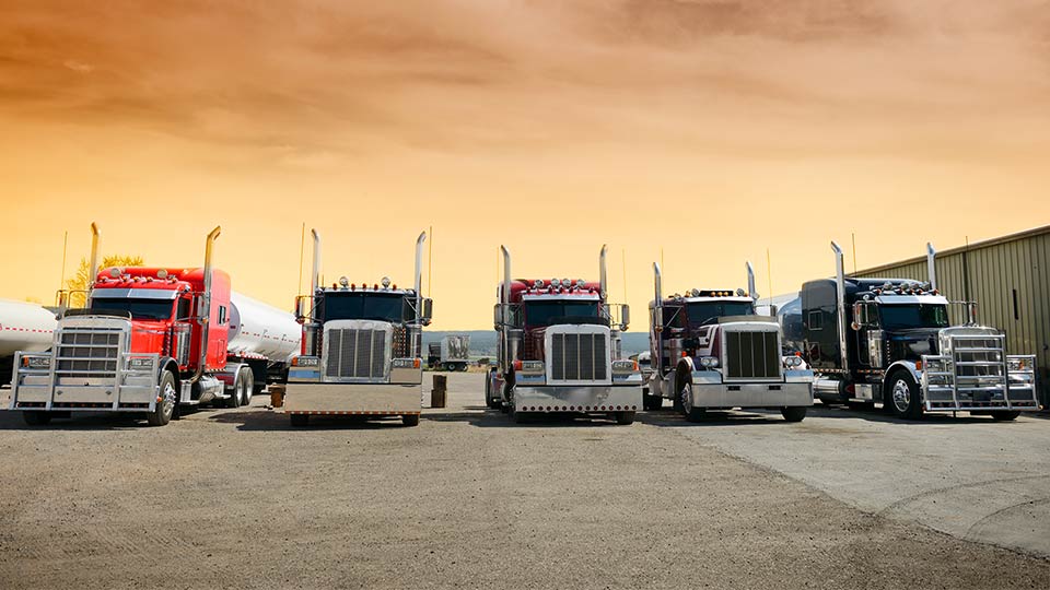 A lineup of semi trucks