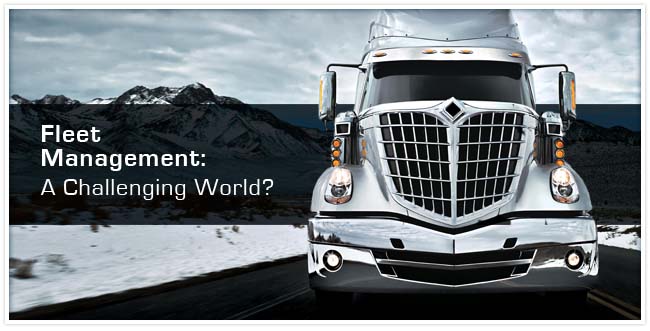 The front view of a silver transport truck on a road with snow and mountains behind it