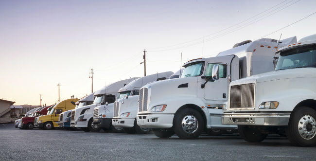 A image of white transport trucks lined up on pavement