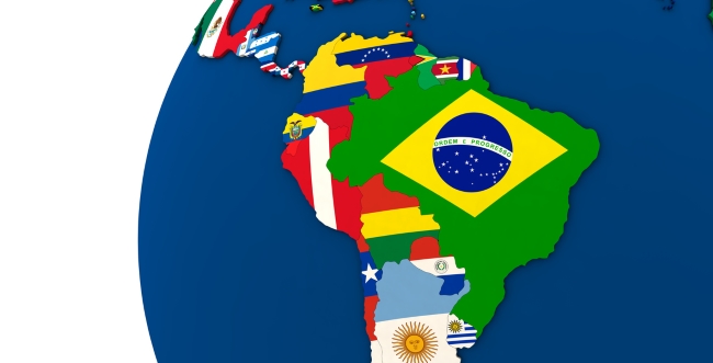 Facing the Challenges of a Global Fleet: Best Practices in Management (Latin America)