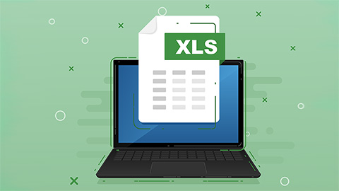 XLS on a laptop with a a green background 