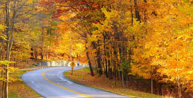 9 Must-Do Fall Foliage Drives in the U.S. and Canada