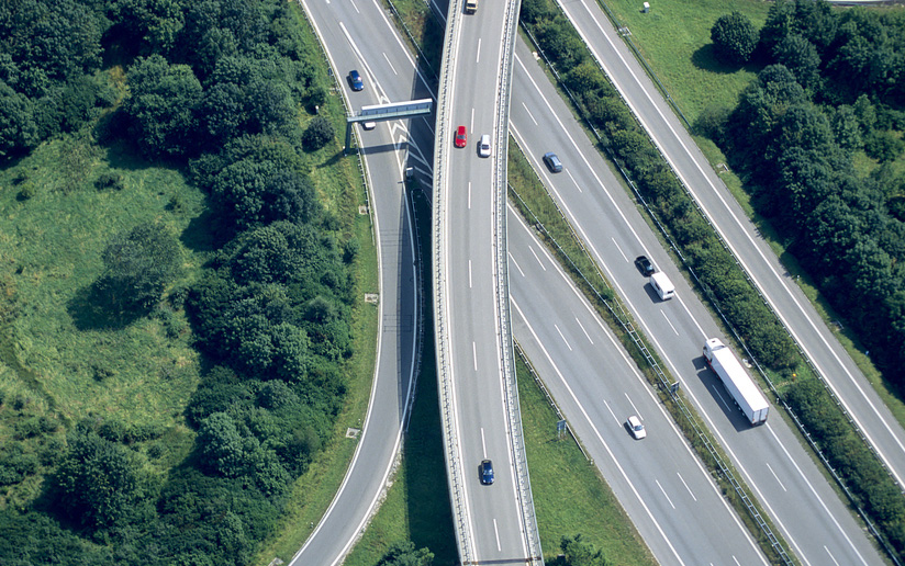 Cars driving on road surrounded by forest