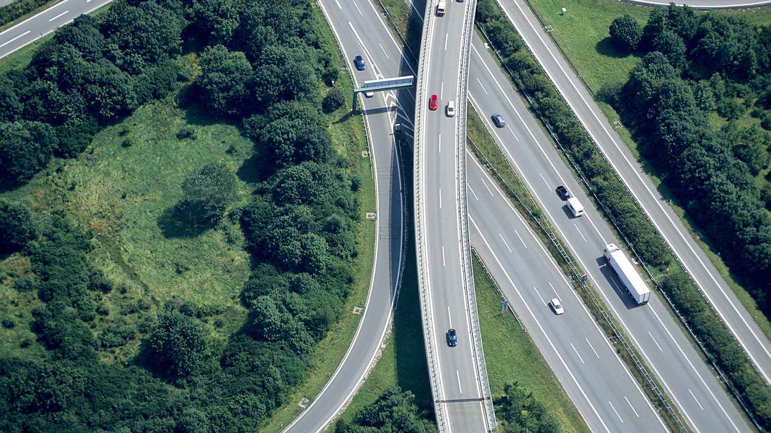 Cars driving on road surrounded by forest