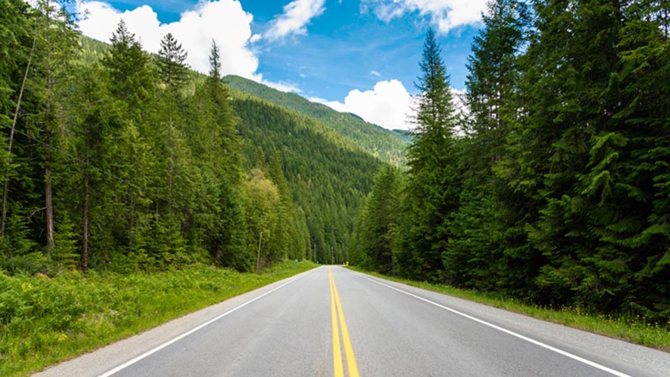 Picture of a road surrounded by forest