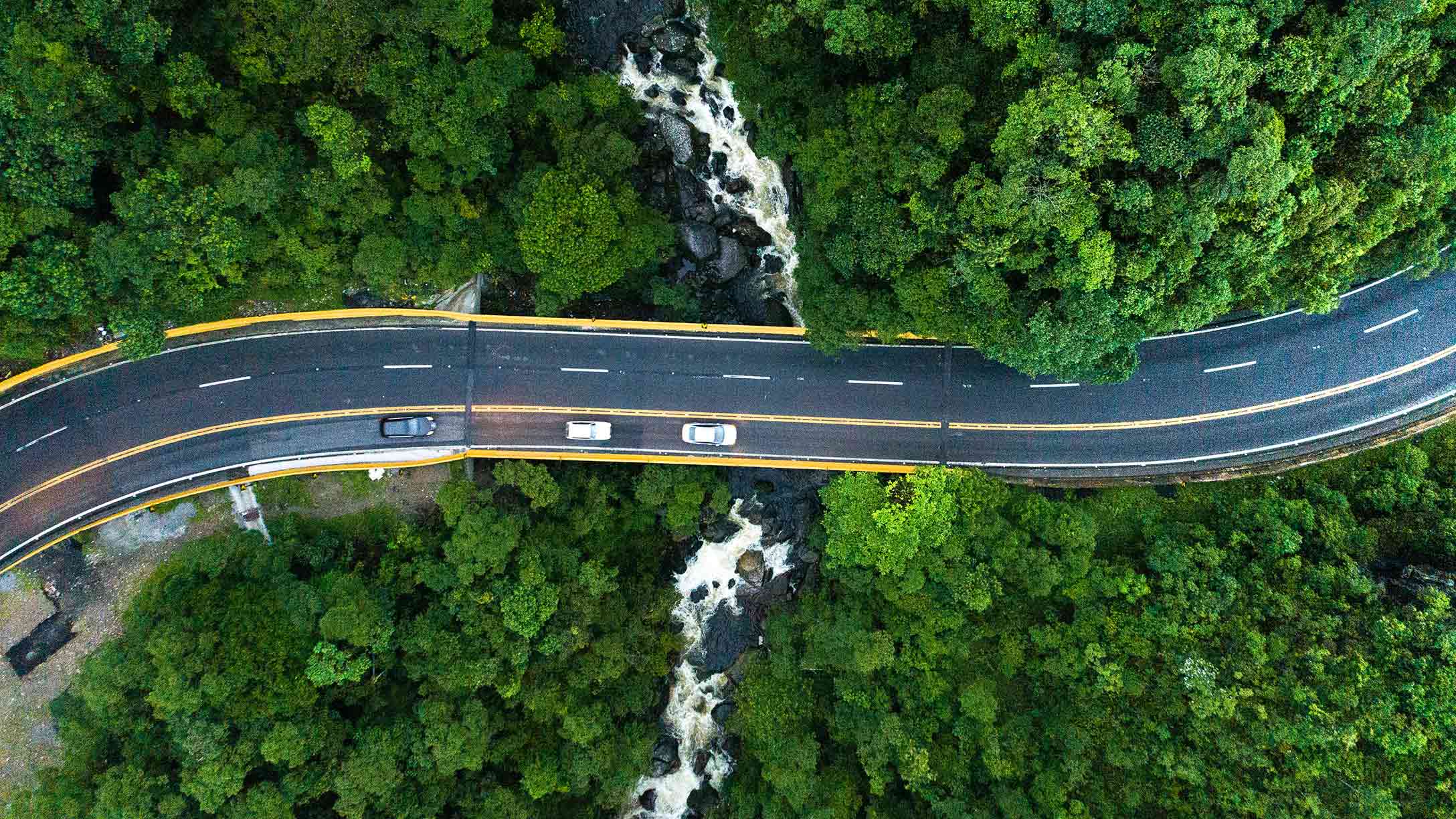 Road by a lake and forest