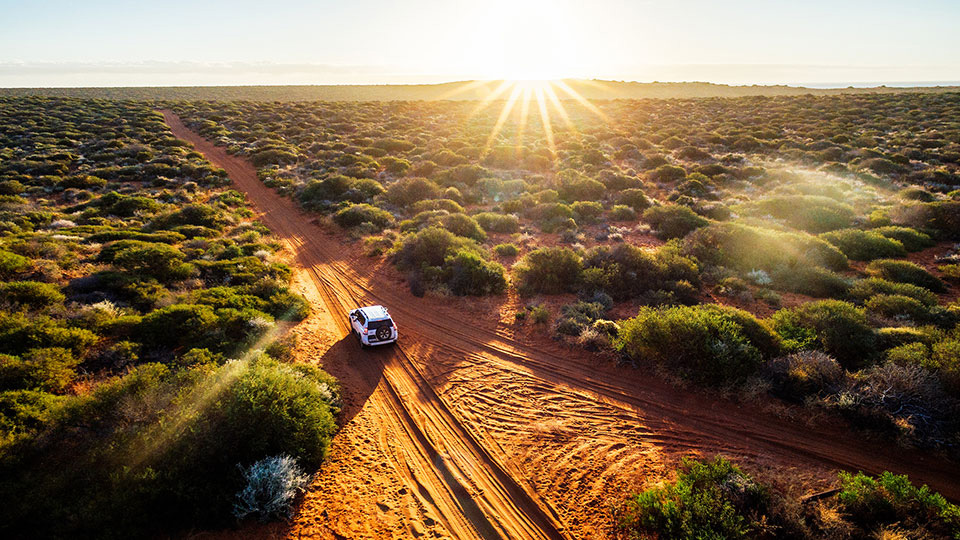 Car driving on a dirt road surrounded by forest