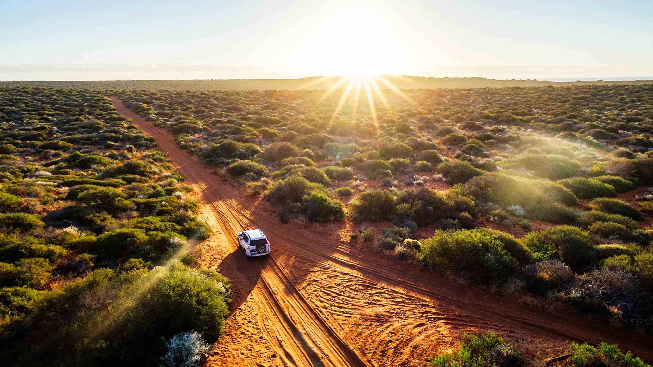 Car driving on a dirt road surrounded by forest