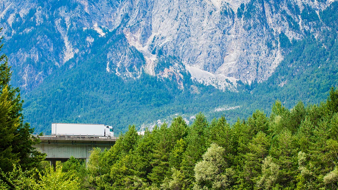 Truck driving on road surrounded by forest