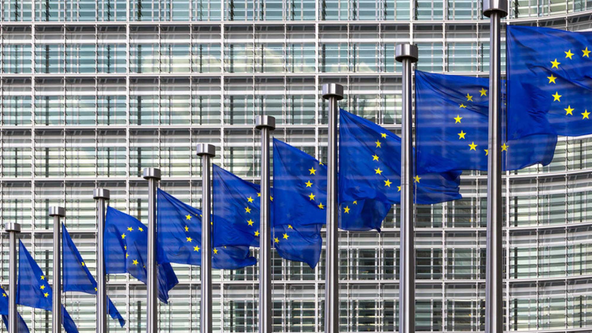 Picture of multiple EU flags beside each other