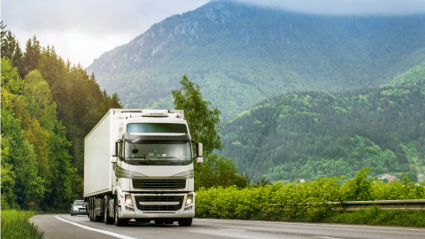 Bild eines Lkw, der auf einer von Bäumen umgebenen Straße fährt.