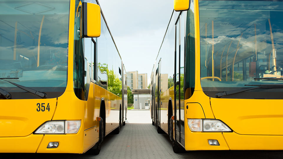 zwei gelbe parkende Busse