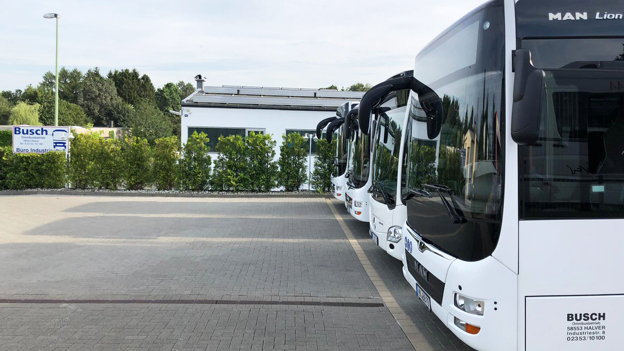 Weiße Busse auf Parkplatz