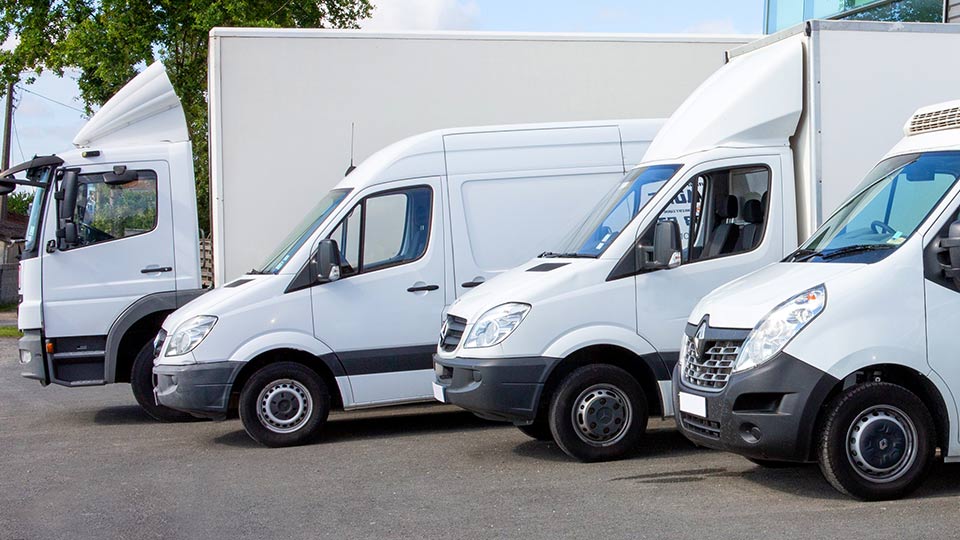 Mehrere weiße, nebeneinader geparkte Fahrzeuge, darunter ein kleiner Lkw und 3 Transporter.