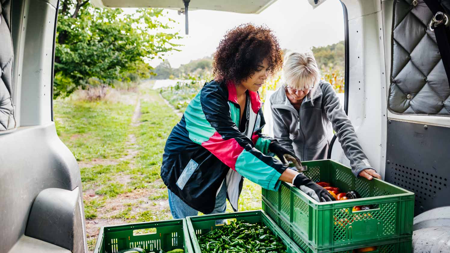 Dos personas cargando comida en un camión