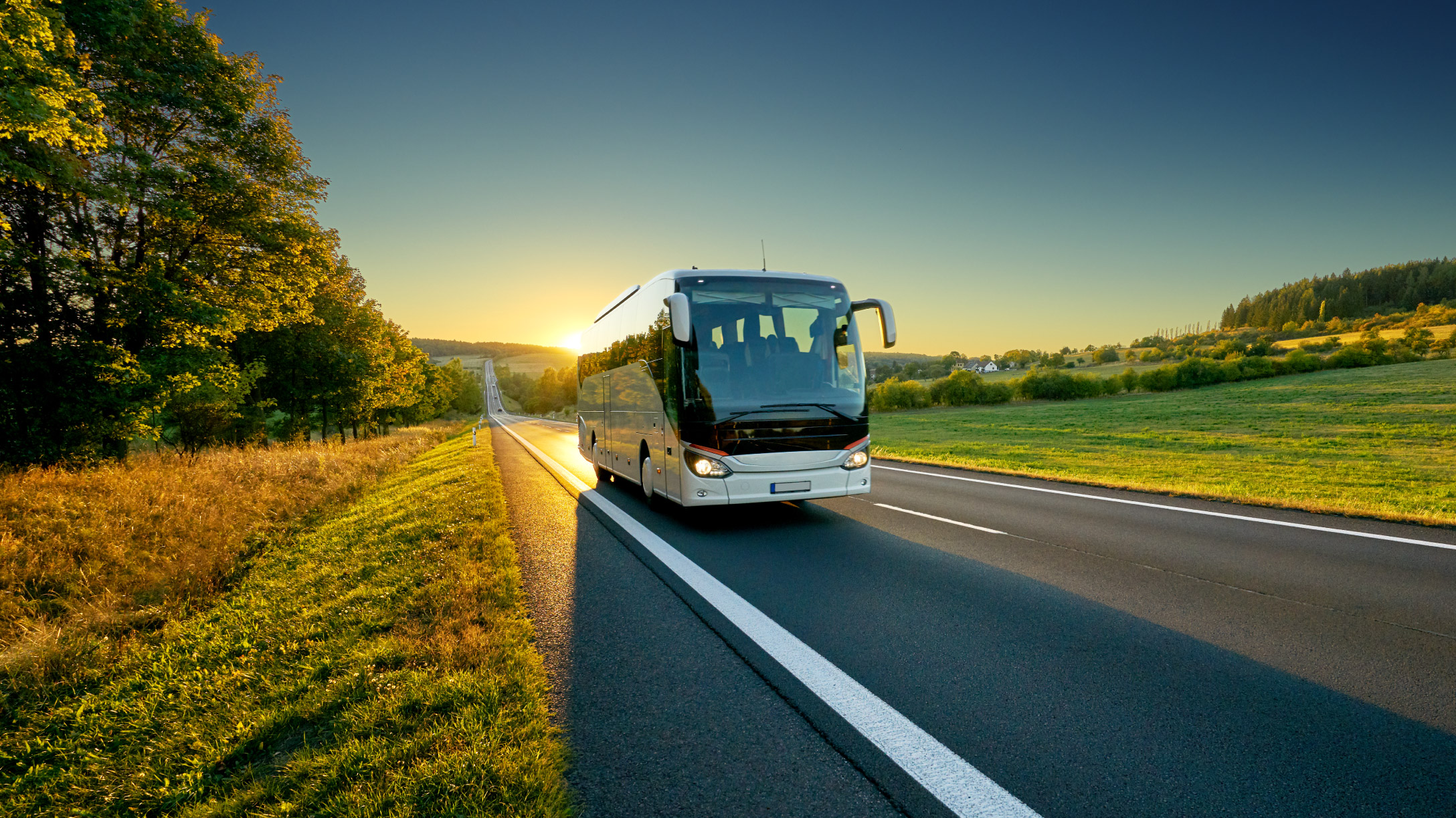 autobús en una carretera