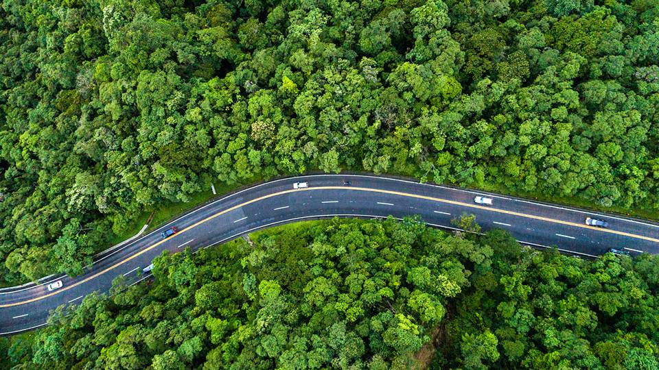 green road