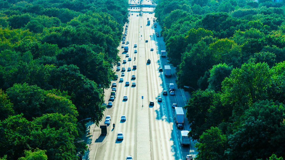highway with trees on side