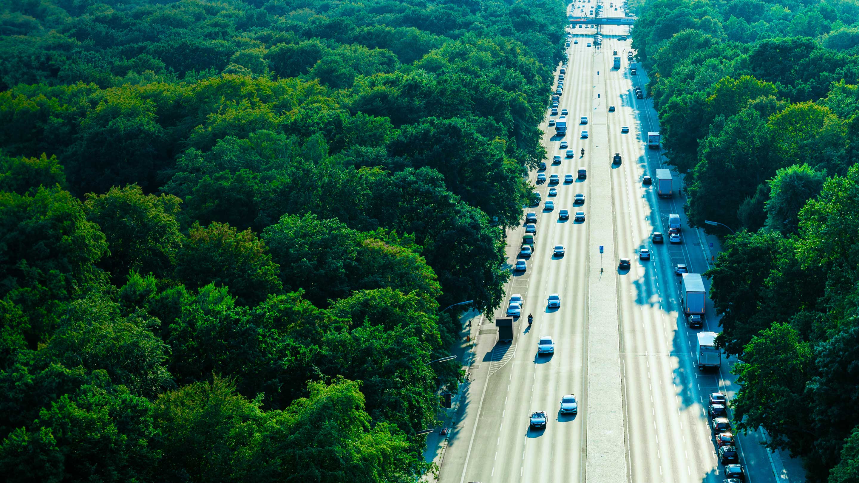 highway with trees on side