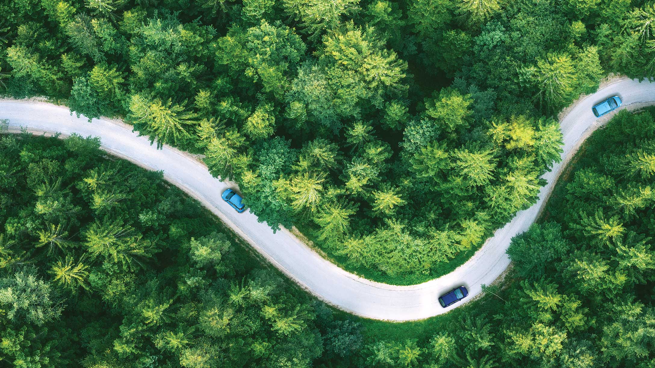 Camino estrecho y sinuoso rodeado de vegetación con coches circulando por él