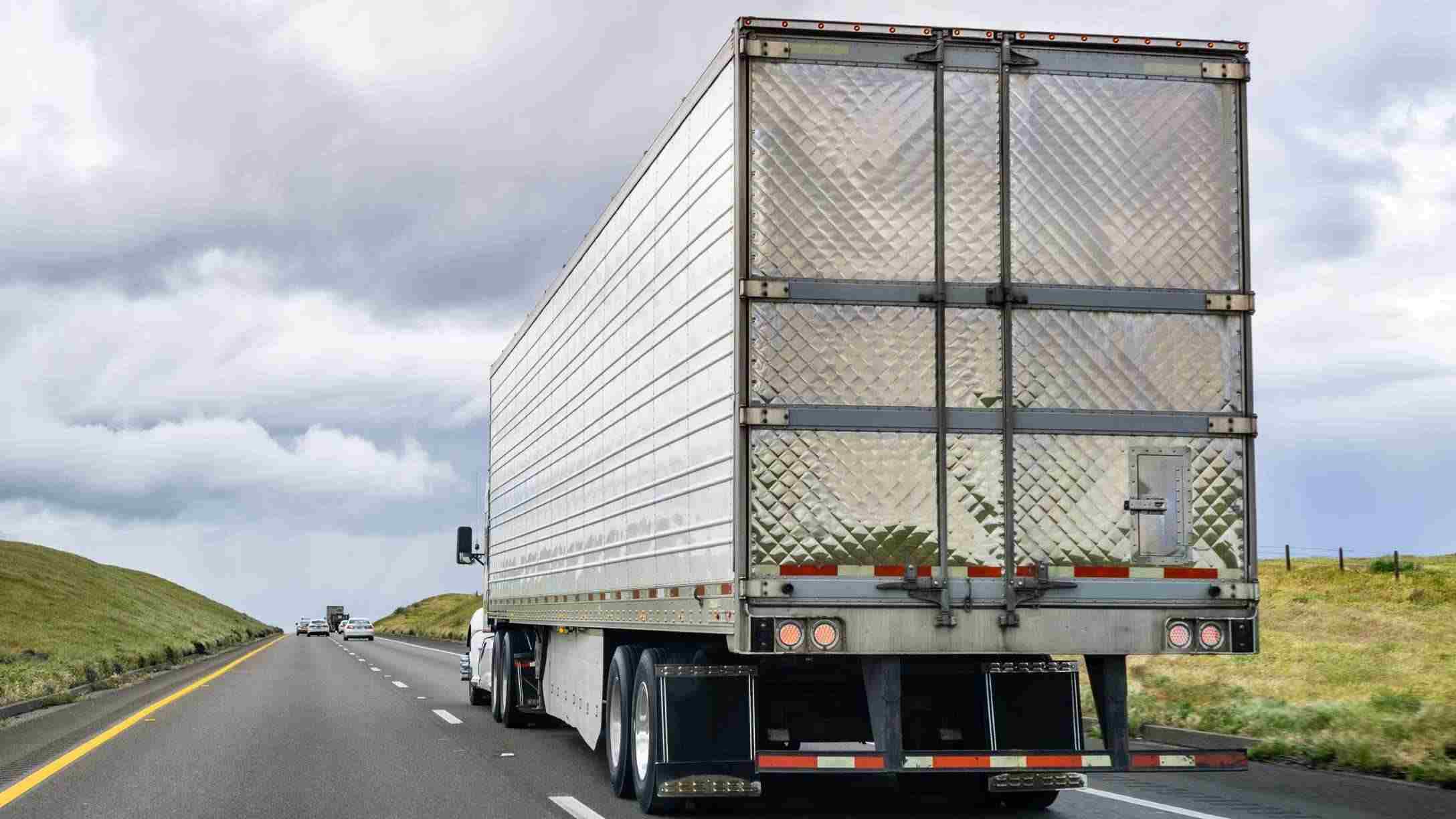 Imagen de un camión circulando en una carretera en un día nublado